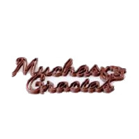Bardzo dziękuję - Muchas Gracias - napis